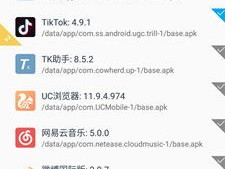 中国将撒哈拉沙漠改造成甜菜农场